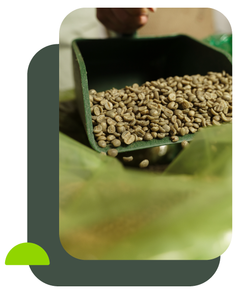 Bolsas Herméticas para café
