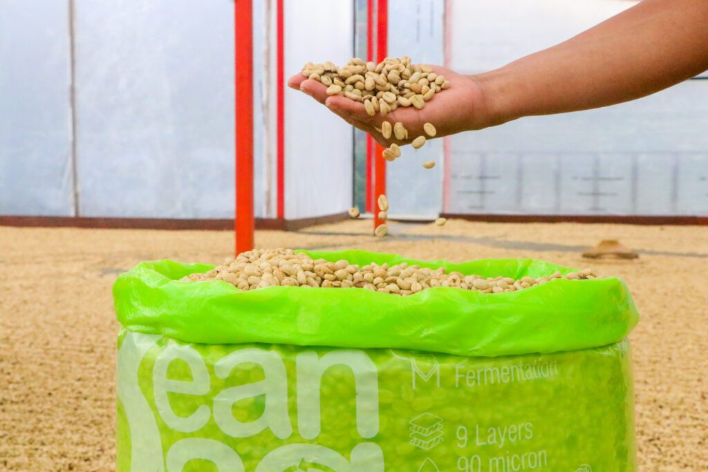 Bolsas Herméticas para almacenar café