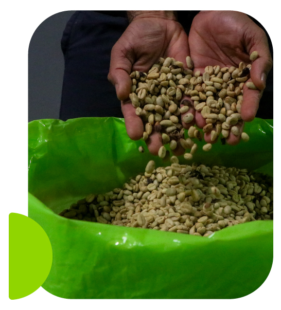 Bolsas Herméticas para almacenar café