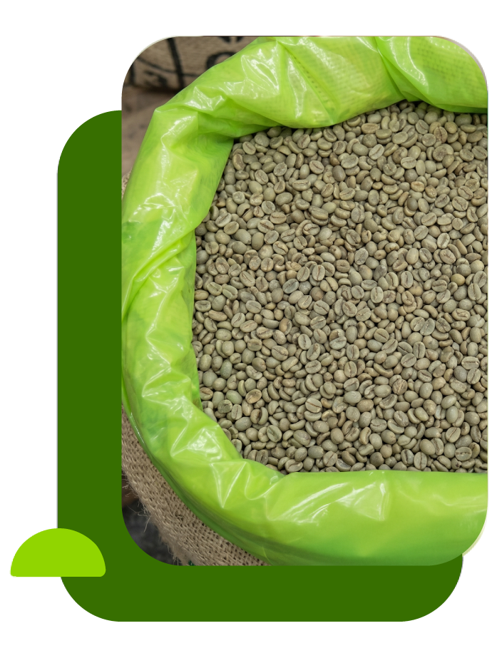 Bolsas Herméticas para café